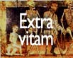 Extra vitam